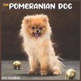 The Pomeranian Dog 2022 Calendar