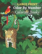 Large Print Color By Number Coloring Books