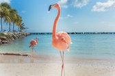 Tuinposter - 70br x 50h - Flamingo - Tuindoek - Voorzien van bevestigingsringen