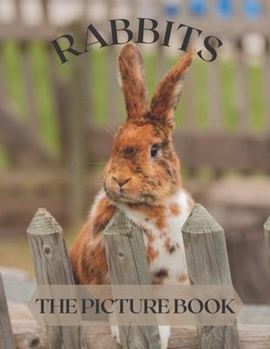 Rabbits - cover