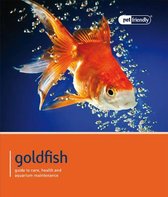 Goldfish - Pet Friendly
