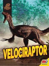 Velociraptor