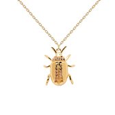 Balance Beetle Amulet necklace - CO01-257-U