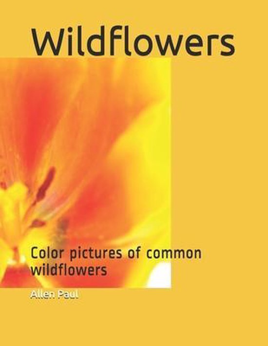 Wildflowers - cover