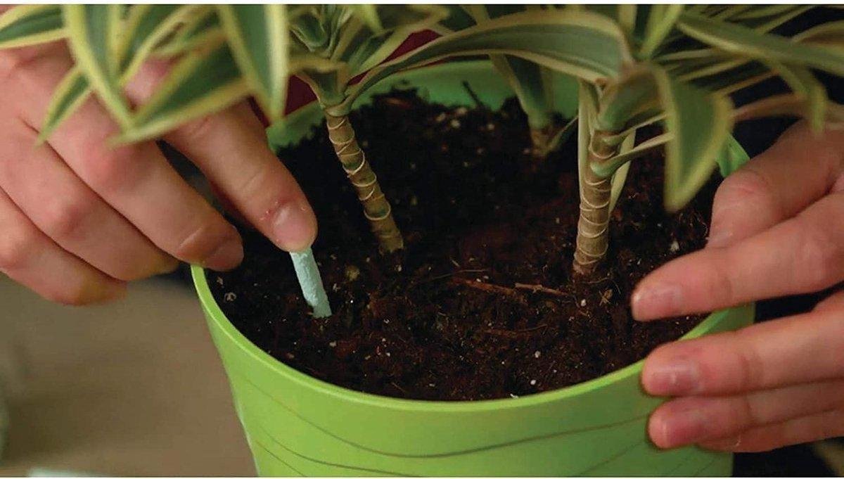 Miracle-Gro Pointes d'engrais pour plantes d'intérieur