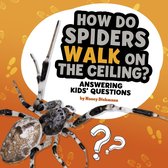 Questions and Answers About Animals - How Do Spiders Walk on the Ceiling?