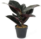 Kunstplant - Philodendron - 36cm - HD4154