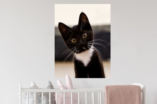 Stickers muraux - Sticker Foil - Un gros plan d'un chaton noir et blanc - 60x80 cm - Adhésif Foil - Stickers muraux Chambre d'Enfant - Papier Peint Auto Adhésif
