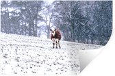 Stickers muraux - Film autocollant - Vache dans la neige - 120x80 cm - Film adhésif - Stickers muraux Chambre d'enfant - Papier peint autocollant
