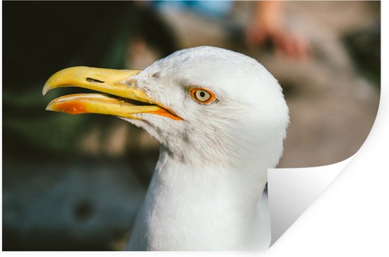 Stickers Stickers muraux - Mouette - Vogel - 90x60 cm - Film adhésif