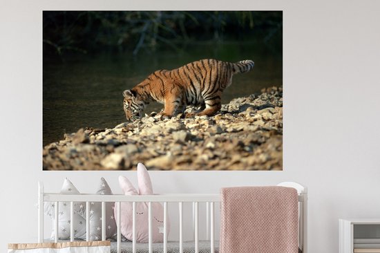 Sticker Muursticker Bébé tigre - bébé tigre - 120x80 cm - film adhésif autocollant - sticker mural repositionnable