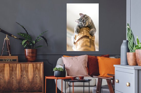 Sticker Muursticker Chats - Chat curieux sur griffoir - 60x90 cm - feuille autocollante - sticker mural repositionnable