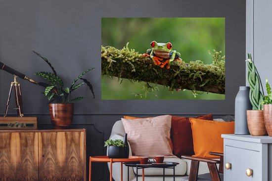 Stickers Stickers muraux - Grenouille aux yeux rouges sur une branche couverte - 120x80 cm - Film adhésif