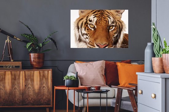 Muursticker Tigre sur fond blanc - Vue rapprochée du tigre sur fond blanc - 90x60 cm - film adhésif autocollant - sticker mural repositionnable