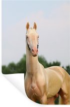 Muurstickers - Sticker Folie - Paard - Portret - Natuur - 60x90 cm - Plakfolie - Muurstickers Kinderkamer - Zelfklevend Behang - Zelfklevend behangpapier - Stickerfolie