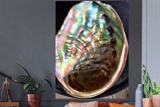 Sticker Muursticker Coquillages - Coquille d'ormeau - 120x160 cm - feuille adhésive autocollante - sticker mural repositionnable XXL /