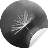 WallCircle - Muurstickers - Behangcirkel - Paardenbloemzaadje in zwart wit - 50x50 cm - Muurcirkel - Zelfklevend - Ronde Behangsticker