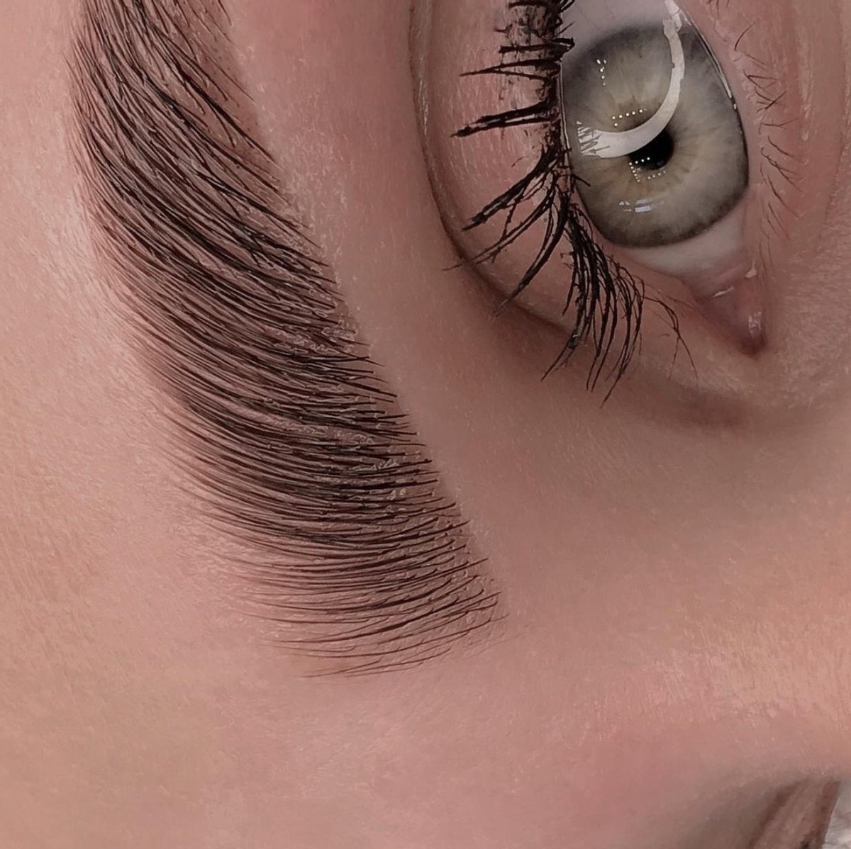 Eyelash and eyebrow dye home kit BRONSUN light brown 5