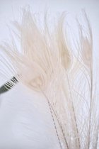 Prachtige Witte Pauwen Veren | 50 Stuks| 25-30 CM | Decoratie Pauwenveren | Hobby/Decoratie | Wit