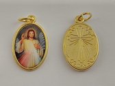 Medaille hanger van Barmhartige Jezus goudkleurig 2,5 x 1,5 cm