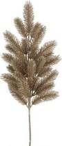Cf Label Versiering Pijnboom 20 X 66 Cm