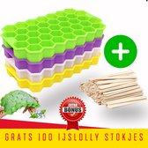 TammaT - ijsblokjesvorm - Met GRATIS 100 ijslolly stokjes hout - ijsblokjesvorm met deksel - 4 delig