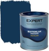 Expert Buitenlak Halfglans - Ral 5003 - 0,75 L
