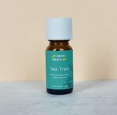 Biologische tea tree etherische olie | Melaleuca alternifolia | 100% natuurlijk en puur | 10 ml tea tree olie