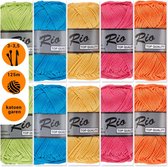 Lammy yarns Rio katoen garen pakket - vrolijke kleuren - 10 bollen