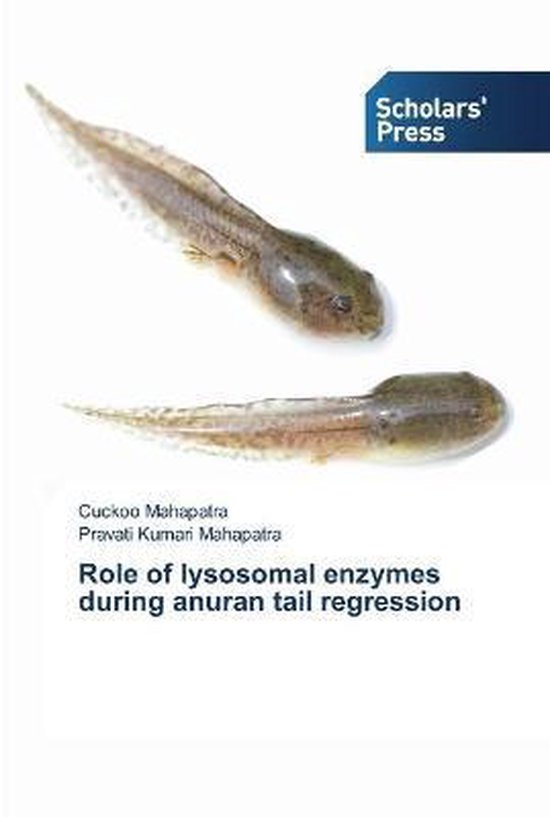 ROLE OF LYSOSOMAL ENZYMES DURING ANURAN