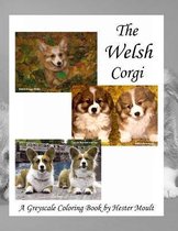 The Welsh Corgi