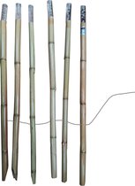 6 stuks tuinlamp bamboo aan snoer - LED stekers - 80 cm - tuinfakkel alternatief - solar en zonne-energie buitenlamp - 6 bamboo tuinstekers aan een snoer verbonden - tuinpadverlich