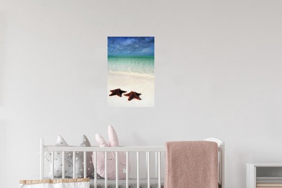 Sticker Muursticker Étoile de mer - Deux grandes étoiles de mer se trouvent sur la côte de Cuba - 20x30 cm - Film adhésif autocollant - Sticker mural repositionnable