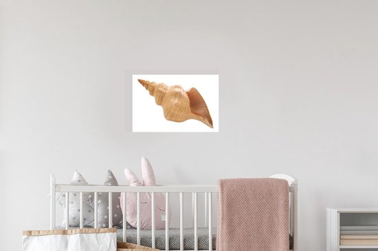Sticker Muursticker Coquillages - Coquille d'escargot de mer - 30x20 cm - Film adhésif autocollant - Sticker mural repositionnable