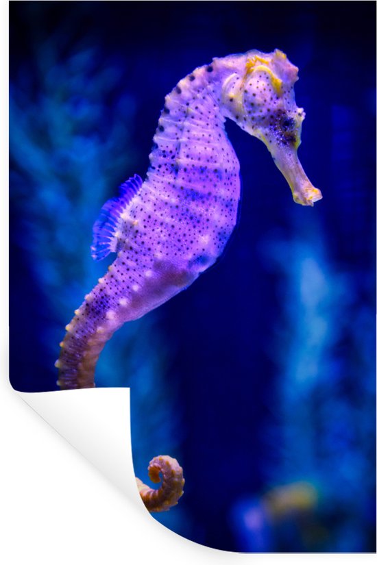 Muurstickers - Sticker Folie - Zeepaardje - Aquarium - Blauw - 20x30 cm - Plakfolie - Muurstickers Kinderkamer - Zelfklevend Behang - Zelfklevend behangpapier - Stickerfolie