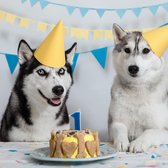 Verjaardagsbox – Hond - Verassingspakket - Cadeau voor hond - Hondenverjaardag - Feest - KONG-  LoLo Cake - Honden cake - VIP Dierenbox