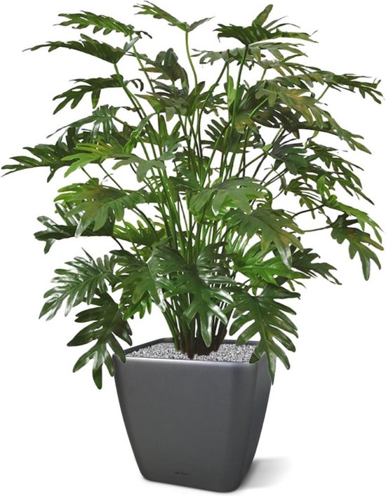 Philo Xanadu deluxe plante artificielle 110 cm