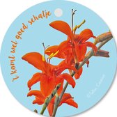 Tallies Cards - kadokaartjes  - bloemenkaartjes - Het komt wel goed schatje - Flowerpower - set van 5 kaarten - sterkte - knuffel - medeleven - 100% Duurzaam