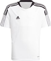 adidas - Tiro 21 Training Jersey Youth - Wit Voetbalshirt - 152 - Wit