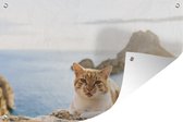 Tuinposter - Tuindoek - Tuinposters buiten - Kat in Ibiza - 120x80 cm - Tuin