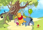 Disney fotobehang Winnie de Poeh groen, blauw en rood - 600561 - 360 x 270 cm