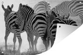 Muurdecoratie Lopende zebra's - 180x120 cm - Tuinposter - Tuindoek - Buitenposter