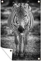 Tuindecoratie Zebra in het gras - 40x60 cm - Tuinposter - Tuindoek - Buitenposter