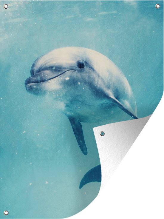 Gobelet en eau claire affiche de jardin 30x40 cm - petit - Toile de jardin / Toile d'extérieur / Peintures pour l'extérieur (décoration de jardin)