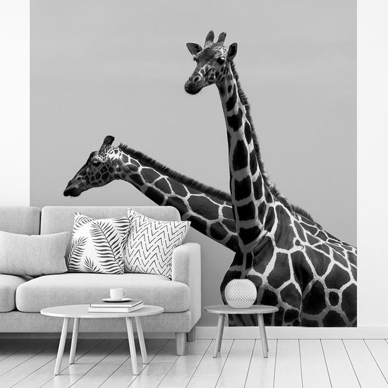 Fotobehang giraffen