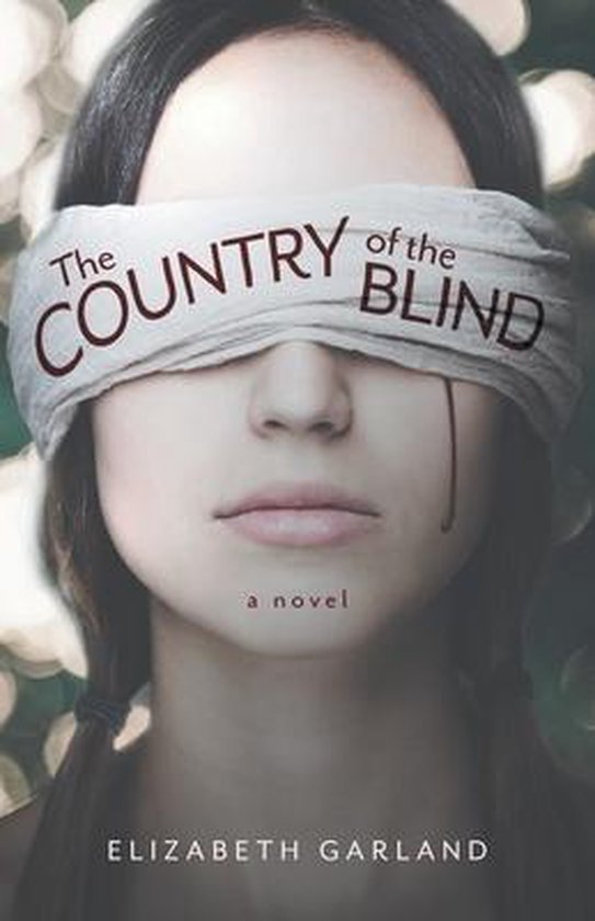 The Ataskin Law School Mysteries-The Country of the Blind - cover
