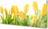 Glasschilderij Gele tulpen| 4 mm veiligheidsglas | 125 x 50 cm | Blind ophangsysteem | Glazen schilderijen