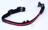 LED - halsband hond - kat - zwart met rood - drie standen - maat M - 30 tot 50 cm - verstelbaar