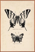 JUNIQE - Poster met kunststof lijst Butterfly Engraving -13x18 /Bruin
