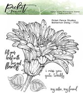 Barberton Daisy Clear Stamps (F-122)